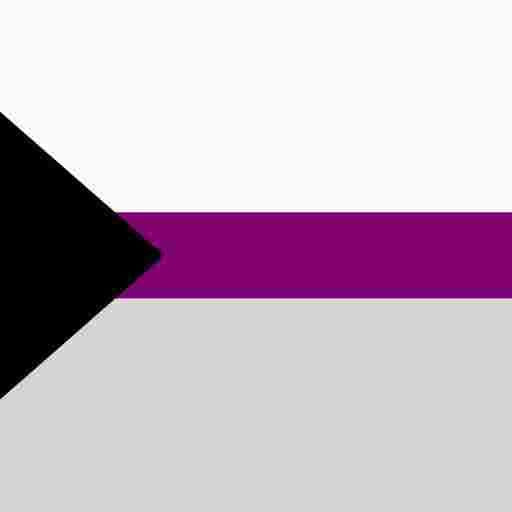 Demisexual Pride Flag